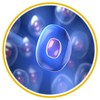 Cell-6 Cell - Biokvant.net